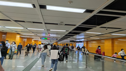 林雨薇东海岸女子100 米栏比赛 12 秒 83 夺得亚军
