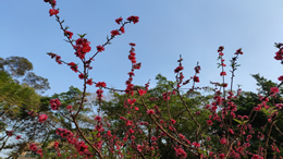 10月09日15时18分，东方市气象台解除我市暴雨红色预警信号