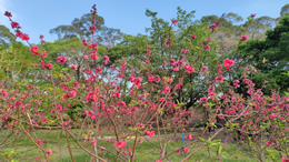 2月26日15时起，出岛货车进港线路有调整！