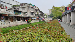 2024年央视春晚节目单完整版正式发布