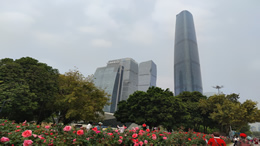 天涯社区被申请破产审查，创始人曾透露将于3月1日重启